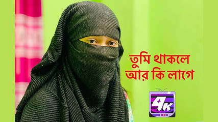 منطقة الجنس studio