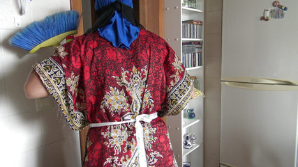 خادمة عربية تنظف المطبخ وتبتلع نائب الرئيس للحصول على نصائح