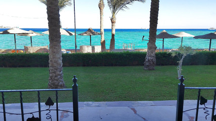 الساخنة بوف Pussyfucking في إجازة في فندق مصر