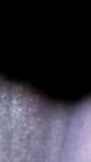 ساندرا: ساندرا العربية الجميلة تقوم بالتعري الساخن